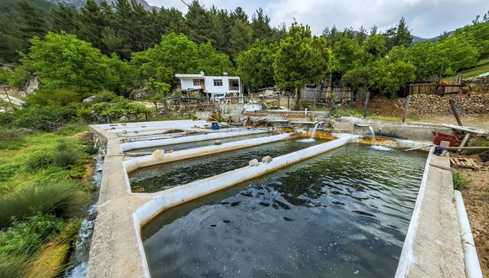 Anamur Alabalık Tesisleri (Sugözü mh.)