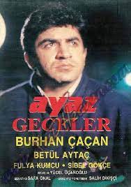 Ayaz Geceler