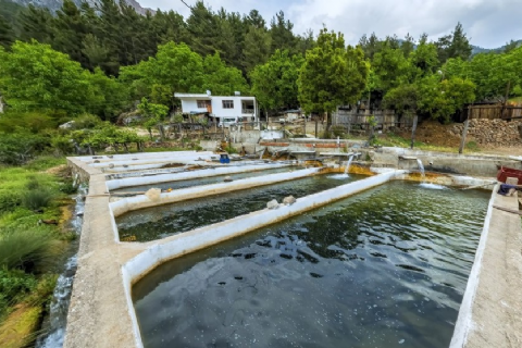 Anamur Alabalık Tesisleri (Sugözü mh.)