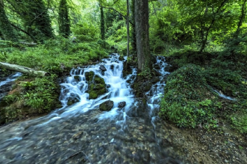 Çamlıyayla Papazın Bahçesi