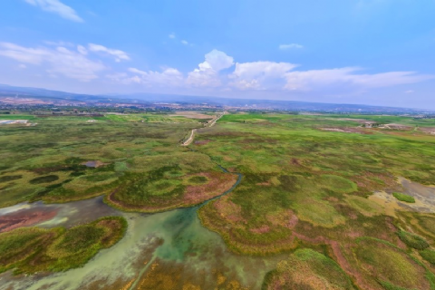 Silifke Kuş Cenneti (Göksu Deltası)