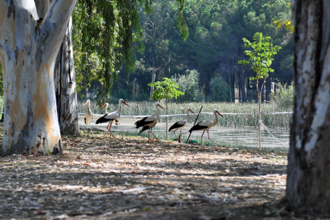 Tarsus Doğa Parkı